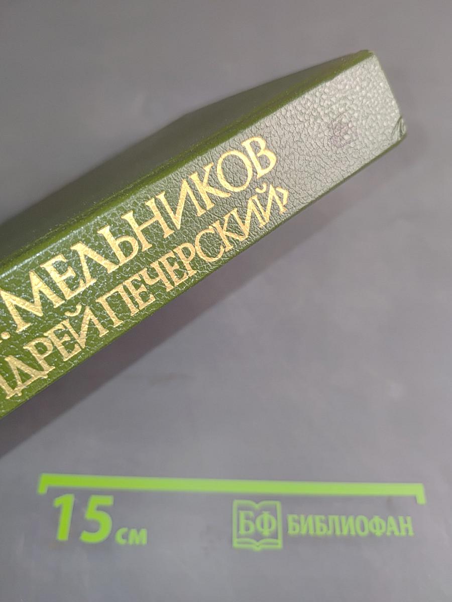 В лесах. Книга вторая