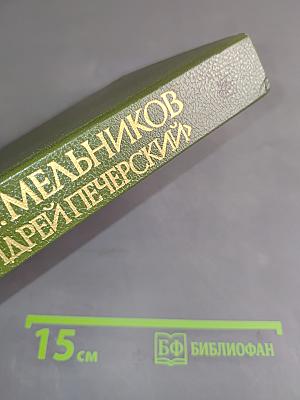 В лесах. Книга вторая