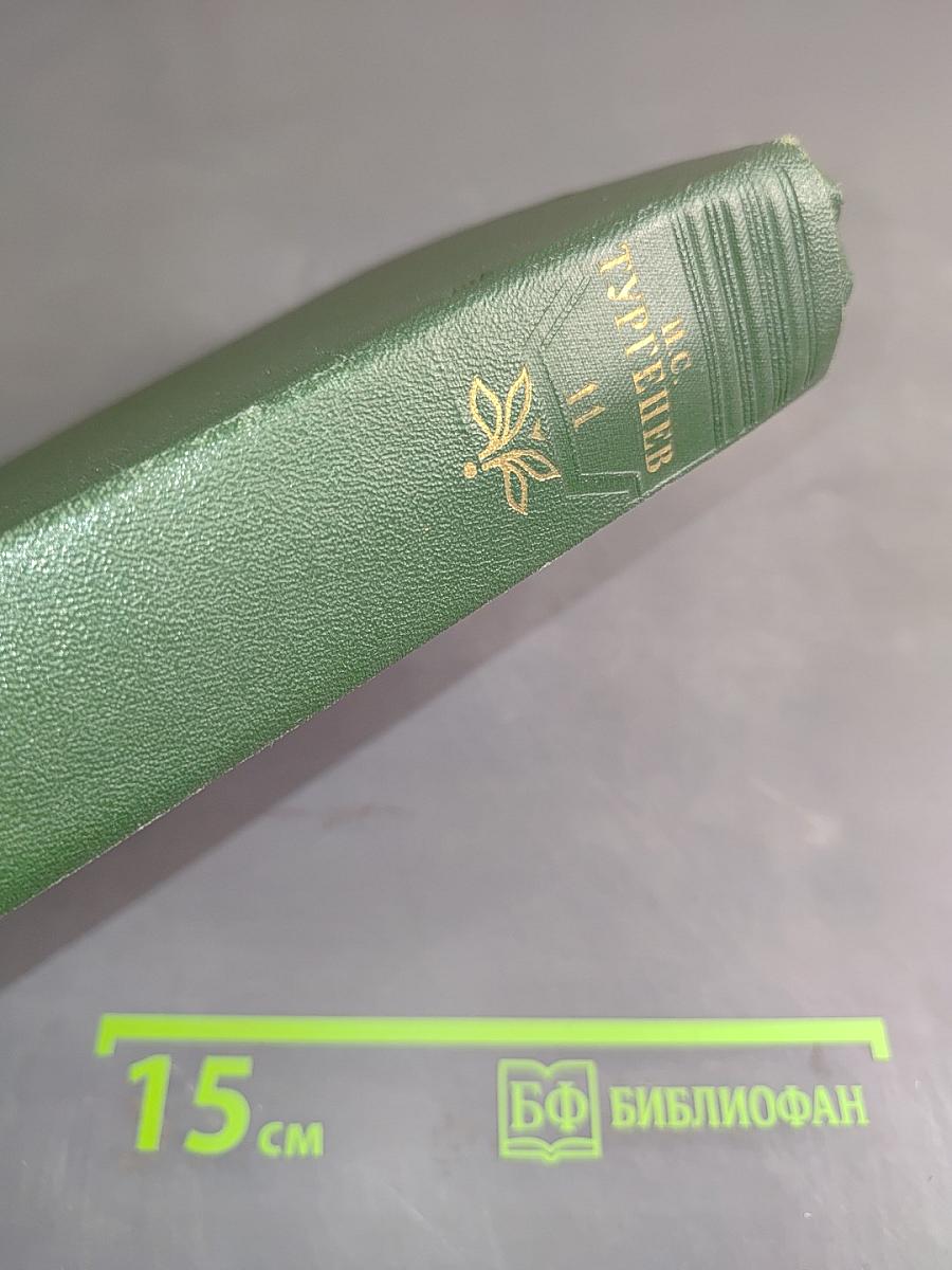 Собрание сочинений. Том одиннадцатый. Литературно-критические статьи и речи. Биографические очерки и заметки