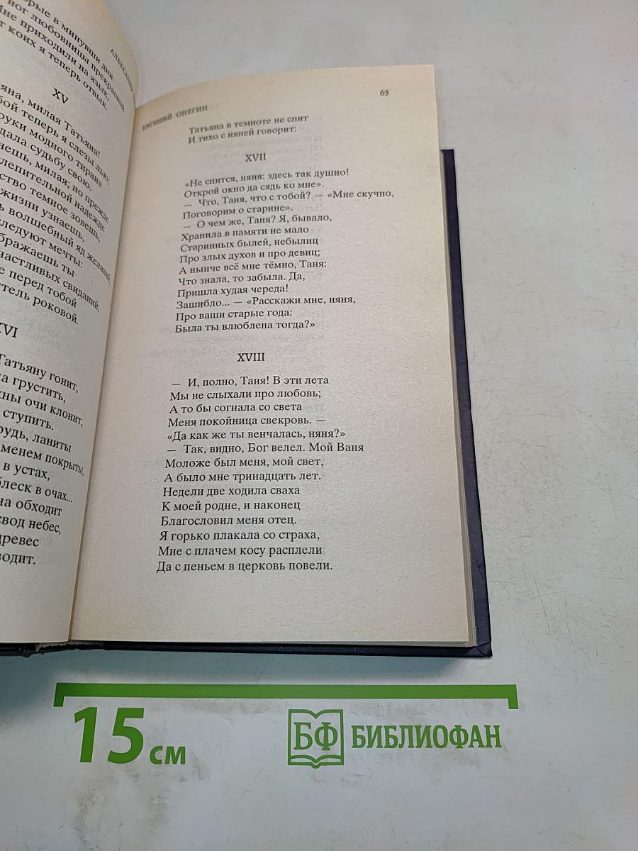 Евгений Онегин
