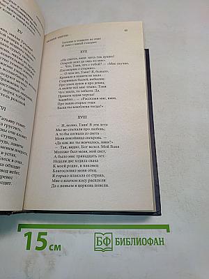 Евгений Онегин