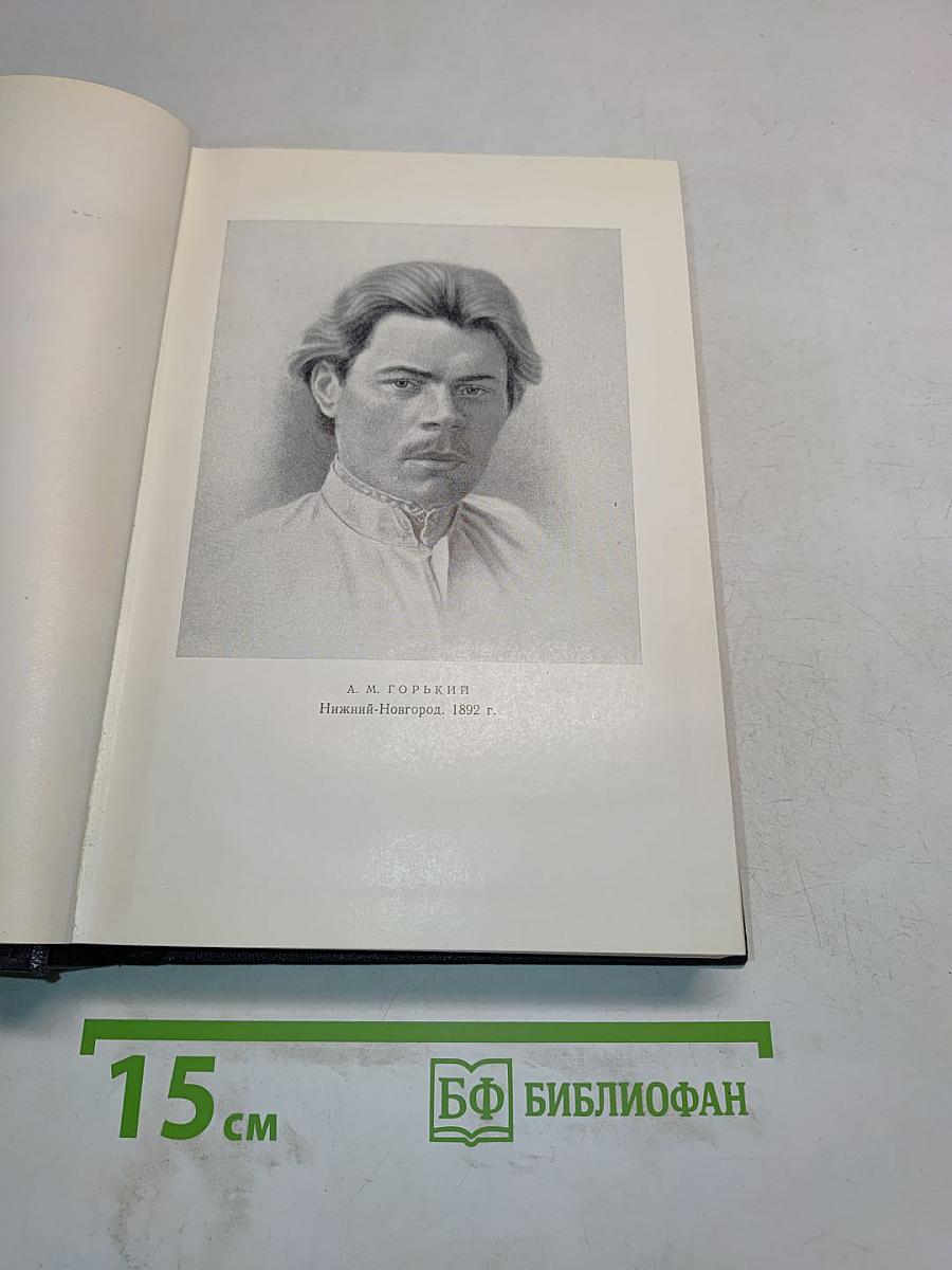 М. Горький. Том 28. Письма, телеграммы, надписи 1889-1906
