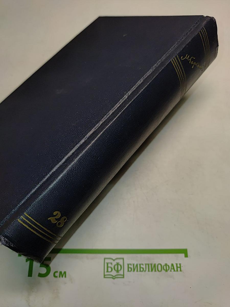 М. Горький. Том 28. Письма, телеграммы, надписи 1889-1906