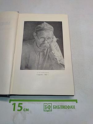 Максим Горький. Сборник сочинений. Том 25. Статьи, речи, приветствия. 1929-1931