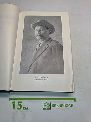 Собрание сочинений. Том 24. Статьи, речи, приветствия. 1907-1928