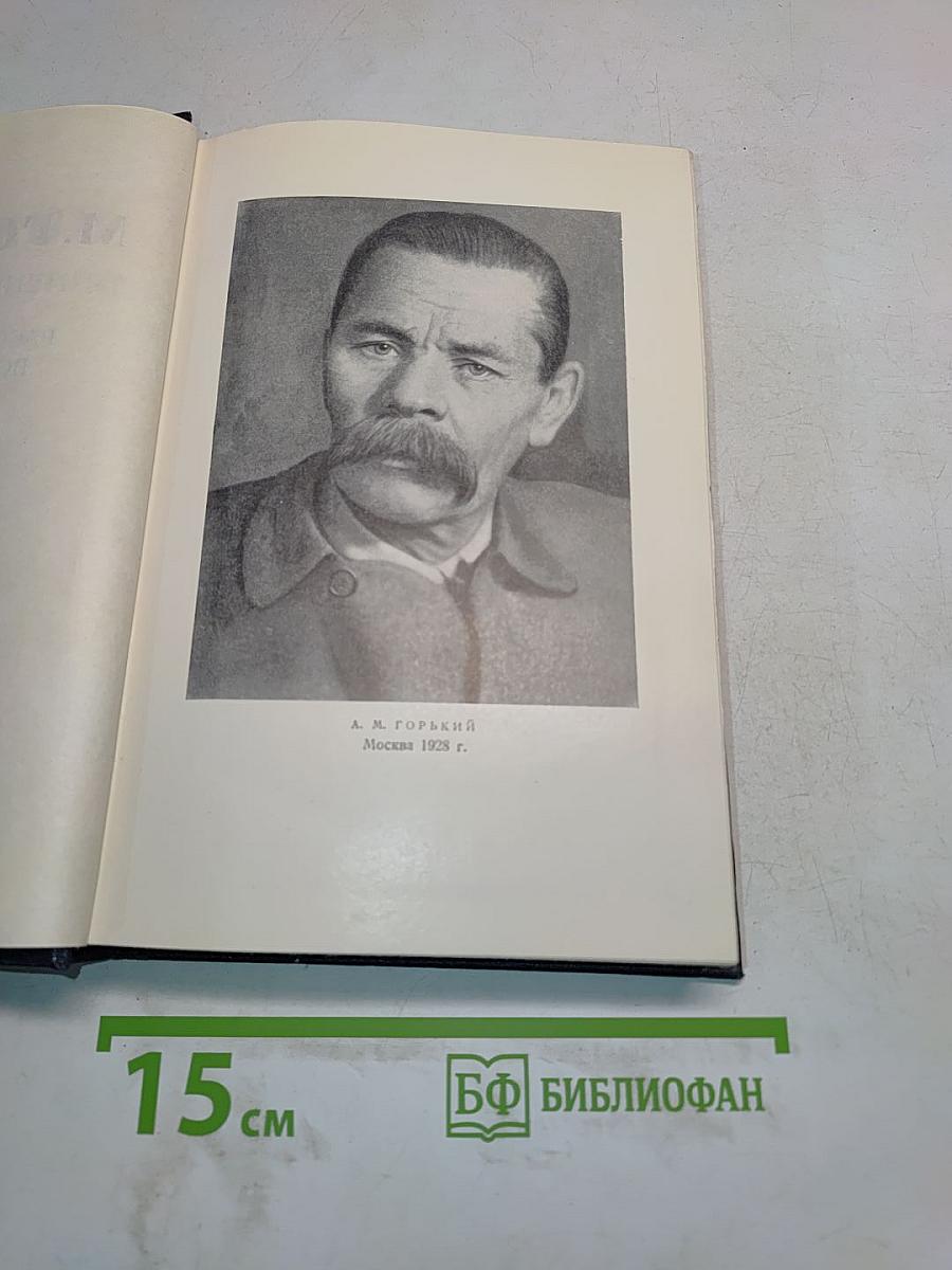 Собрание сочинений в 30 томах. Том 17. Рассказы, очерки, воспоминания 1924-1936