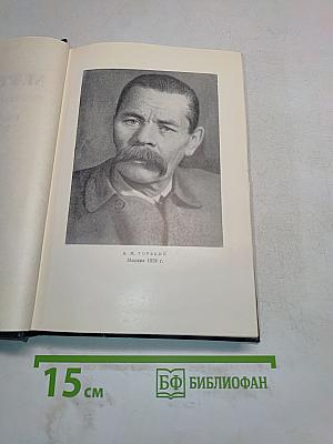 Собрание сочинений в 30 томах. Том 17. Рассказы, очерки, воспоминания 1924-1936