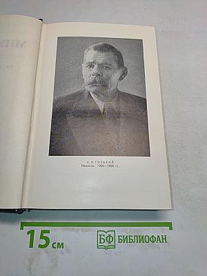 Рассказы, повести. Том 16. 1922-1925