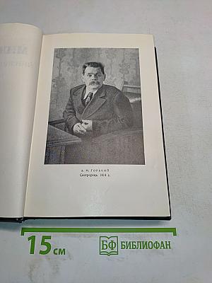 Пьесы. Том 12