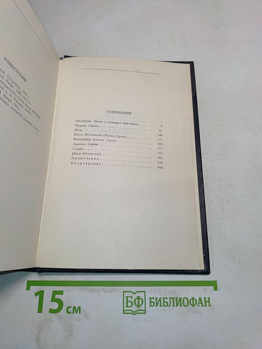 Пьесы. Том 12