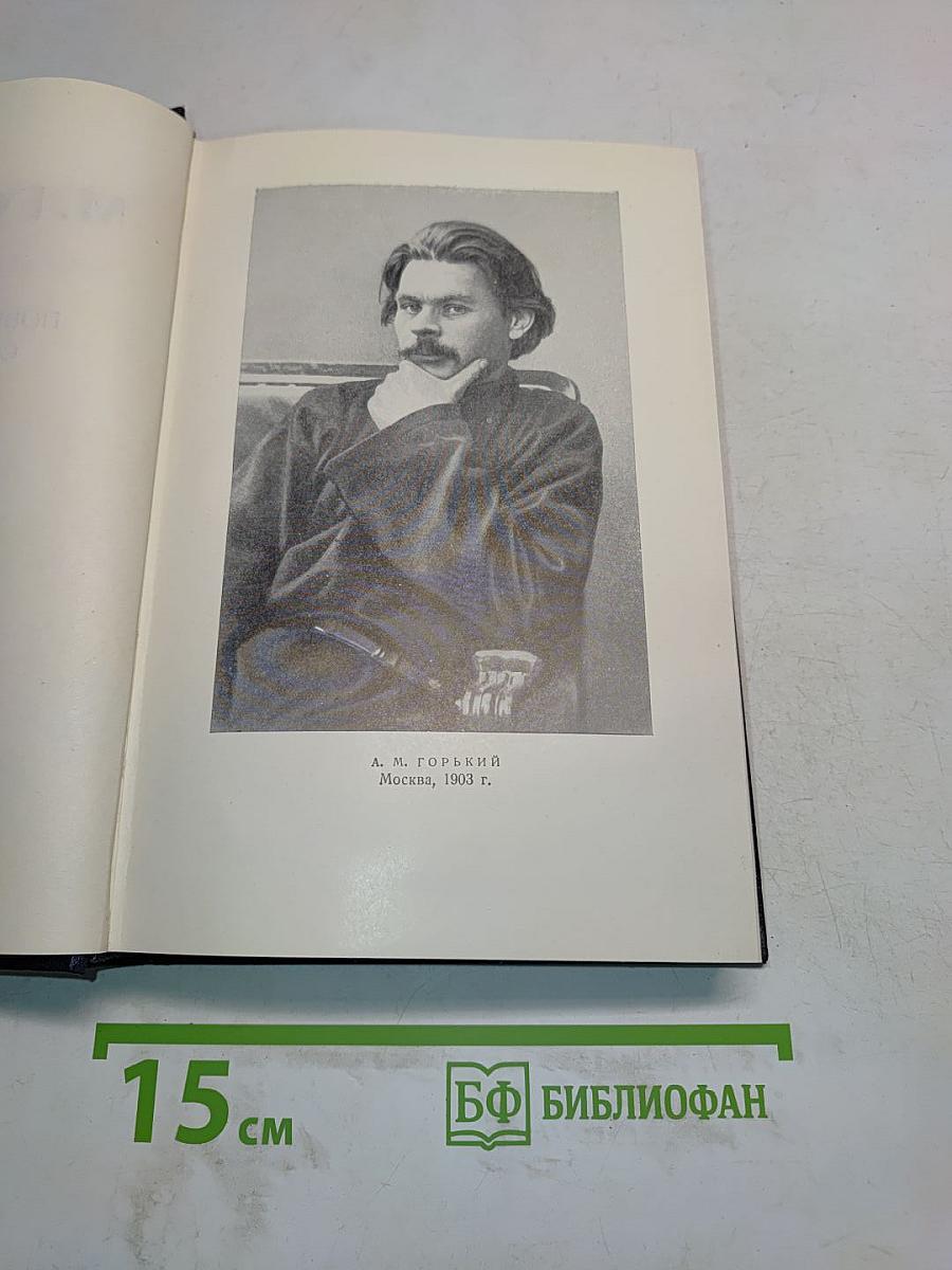 Повести, рассказы, очерки, стихи. Том 5