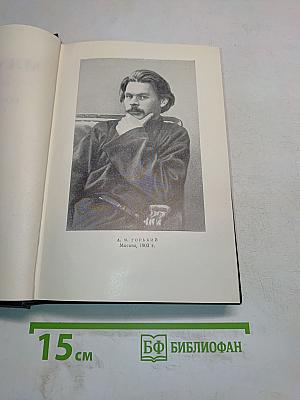 Повести, рассказы, очерки, стихи. Том 5