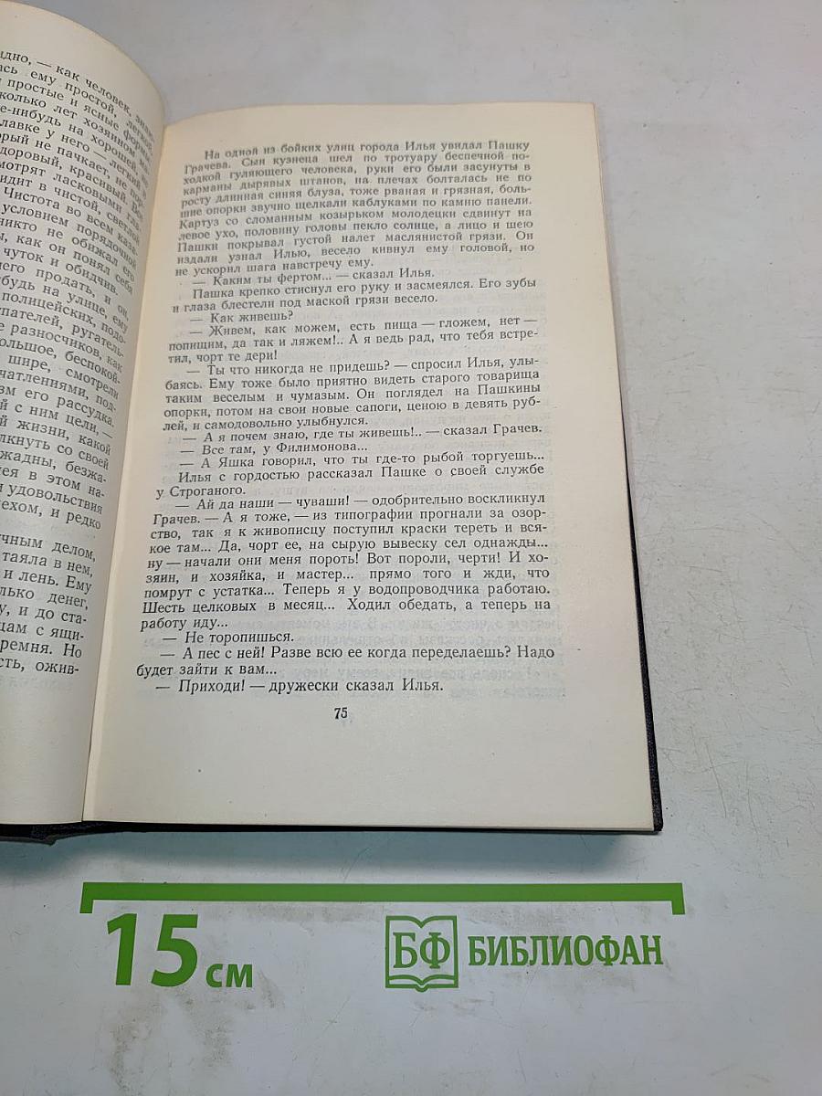 Повести, рассказы, очерки, стихи. Том 5