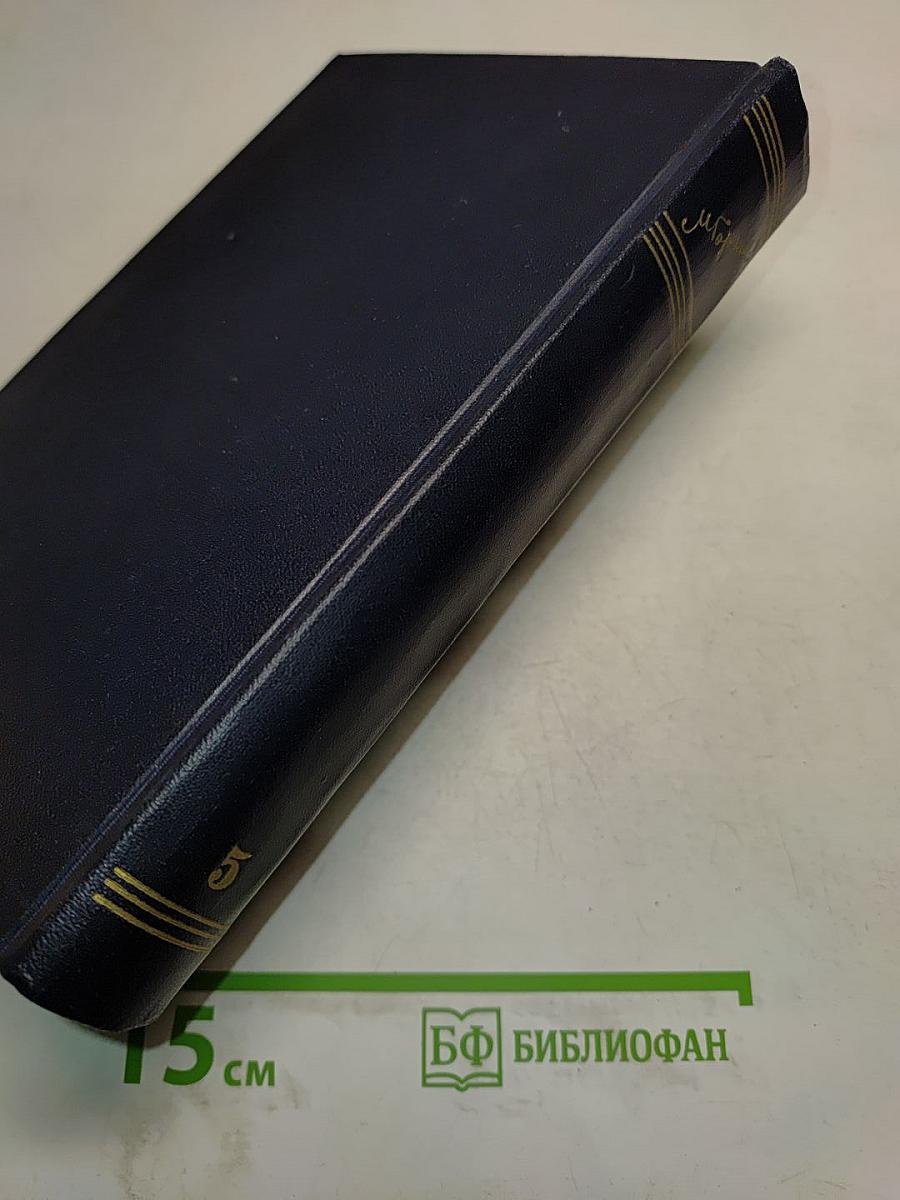 Повести, рассказы, очерки, стихи. Том 5
