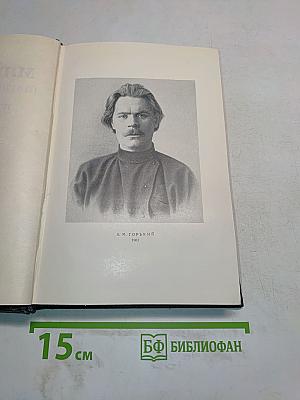 Повести, очерки, рассказы. Том 4. 1899-1900