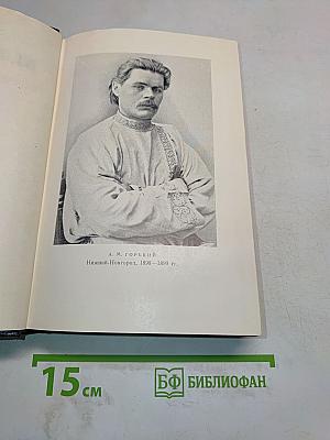 Собрание сочинений. Том 3. Рассказы 1896-1899