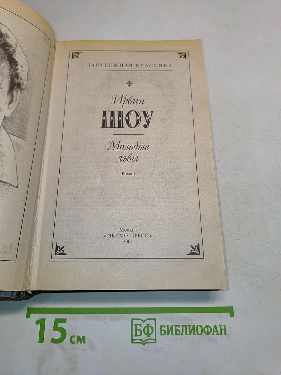 Молодые львы