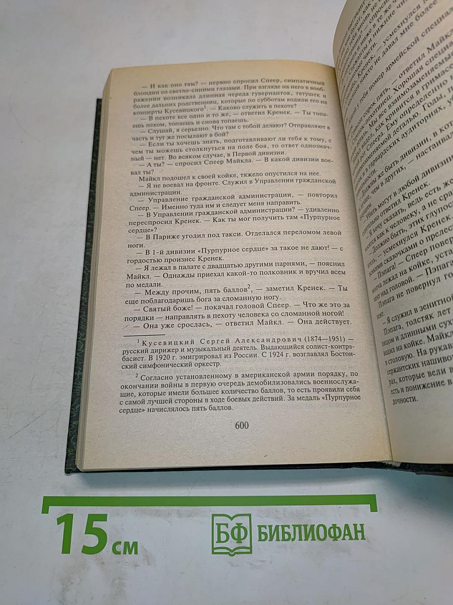 Молодые львы