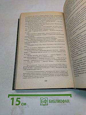 Молодые львы