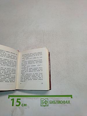 Выстрел в отеле «Клюмзер»