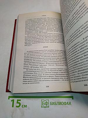 Стихотворения. Страдания юного Вертера. Фауст. Книга для ученика и учителя