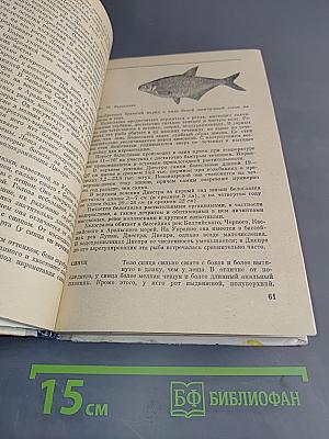 Любительское рыболовство