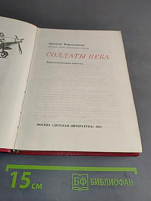 Солдаты неба. Документальная повесть