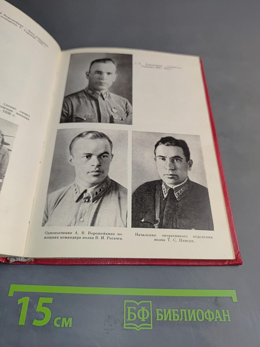 Солдаты неба. Документальная повесть