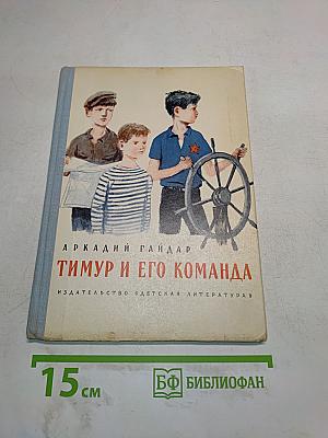 Тимур и его команда