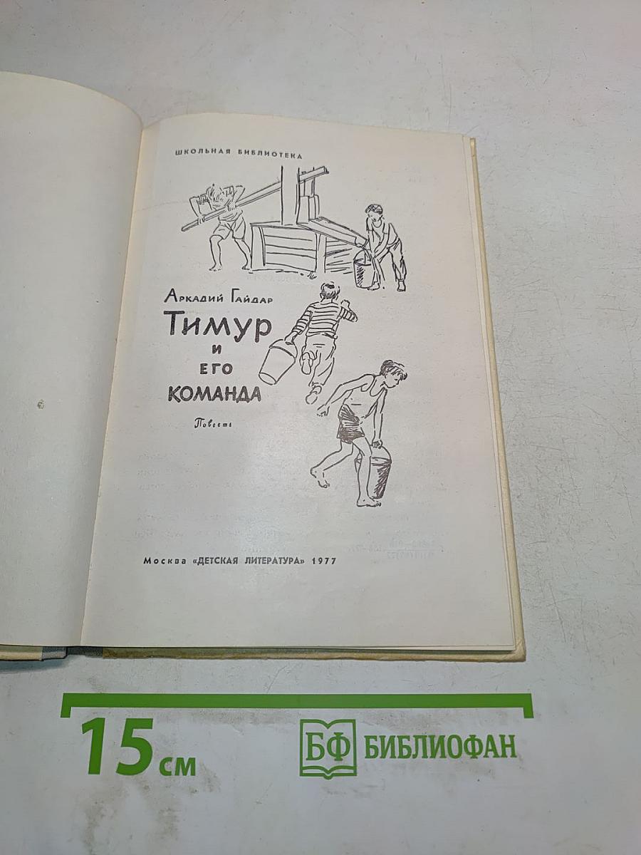 Тимур и его команда