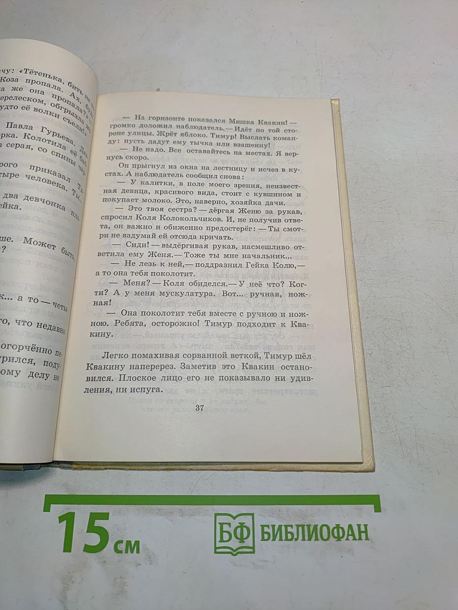 Тимур и его команда