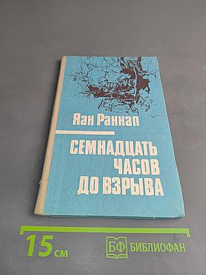 Семнадцать часов до взрыва