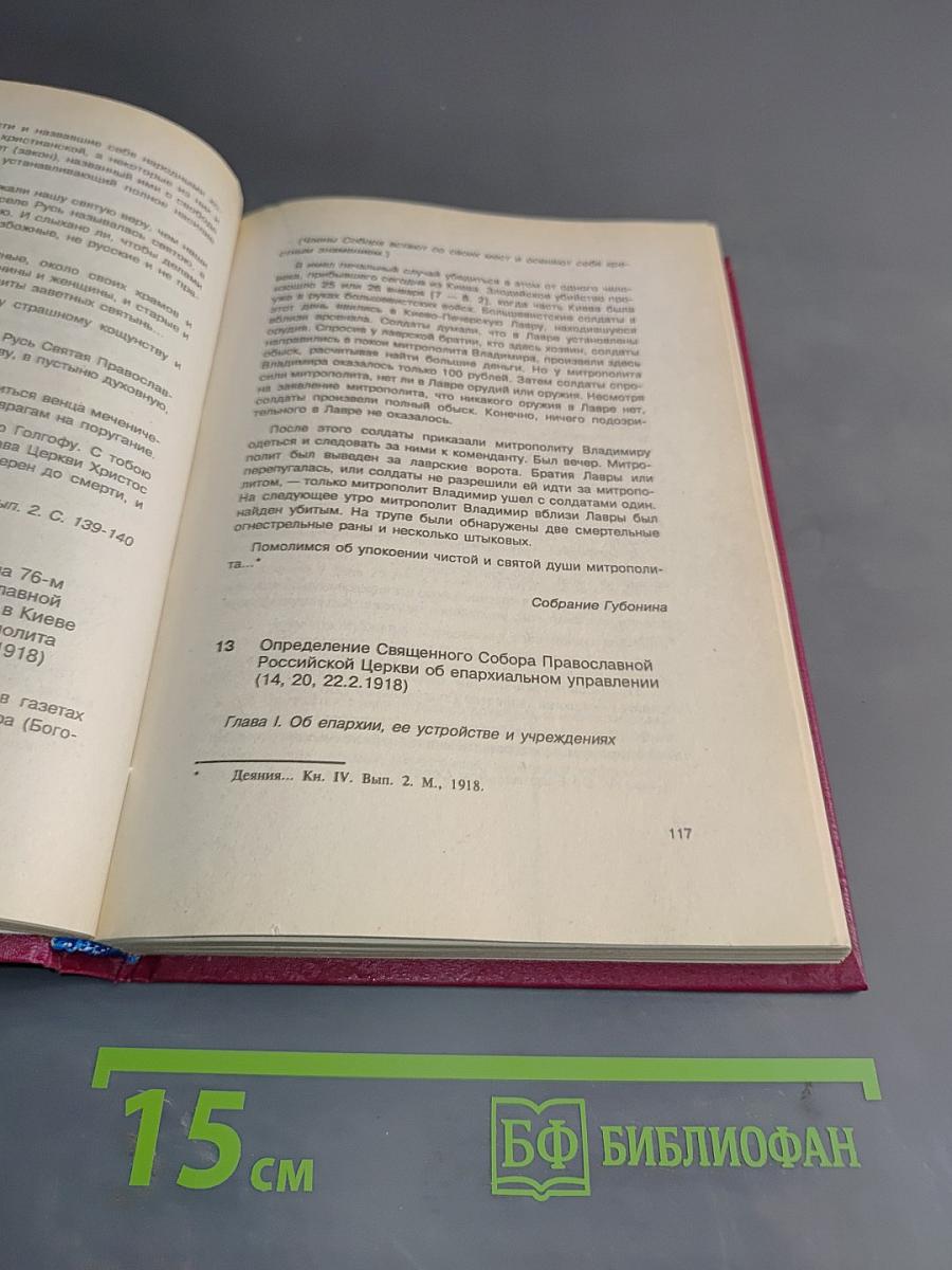Русская Православная Церковь в Советское время. Книга 1