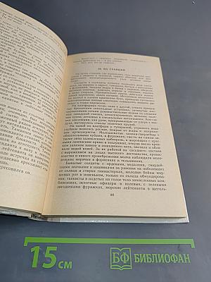 Момент истины