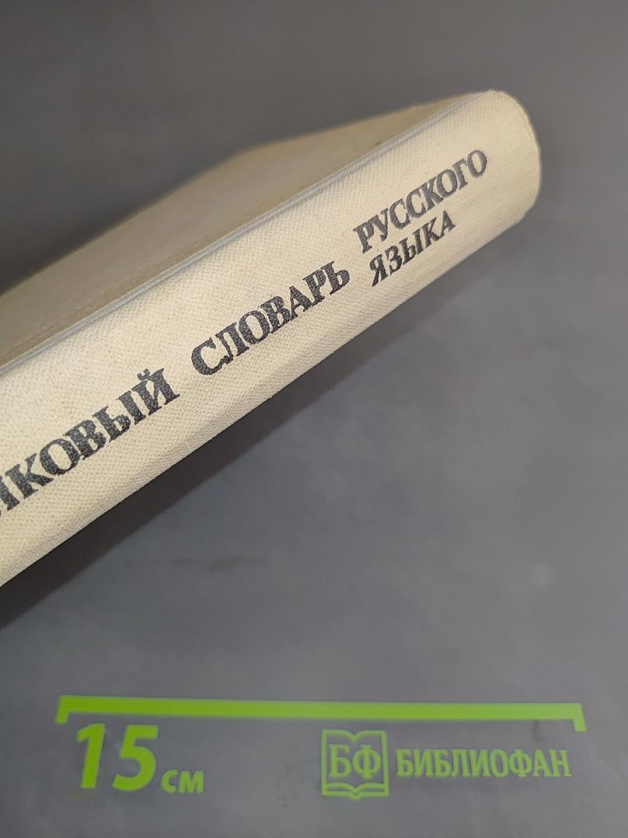 Школьный толковый словарь русского языка