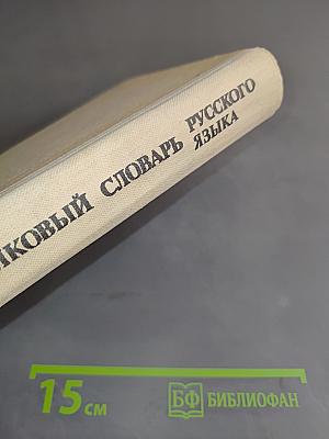 Школьный толковый словарь русского языка