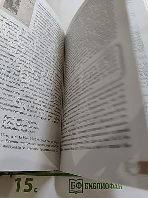 Русский язык и литература. 11 класс. Базовый уровень. Часть 1