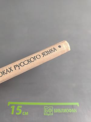 Изучение связи слов на уроках русского языка