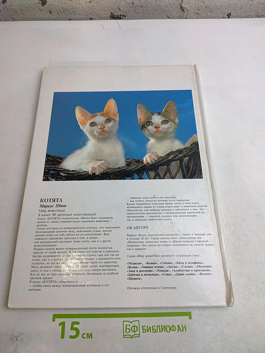 Котята. Мир животных