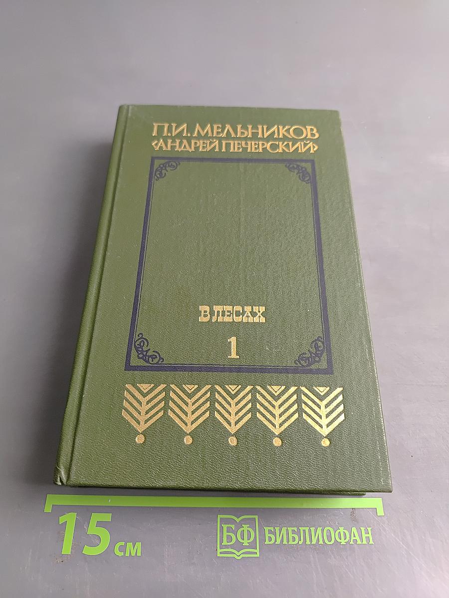 В лесах. Книга первая