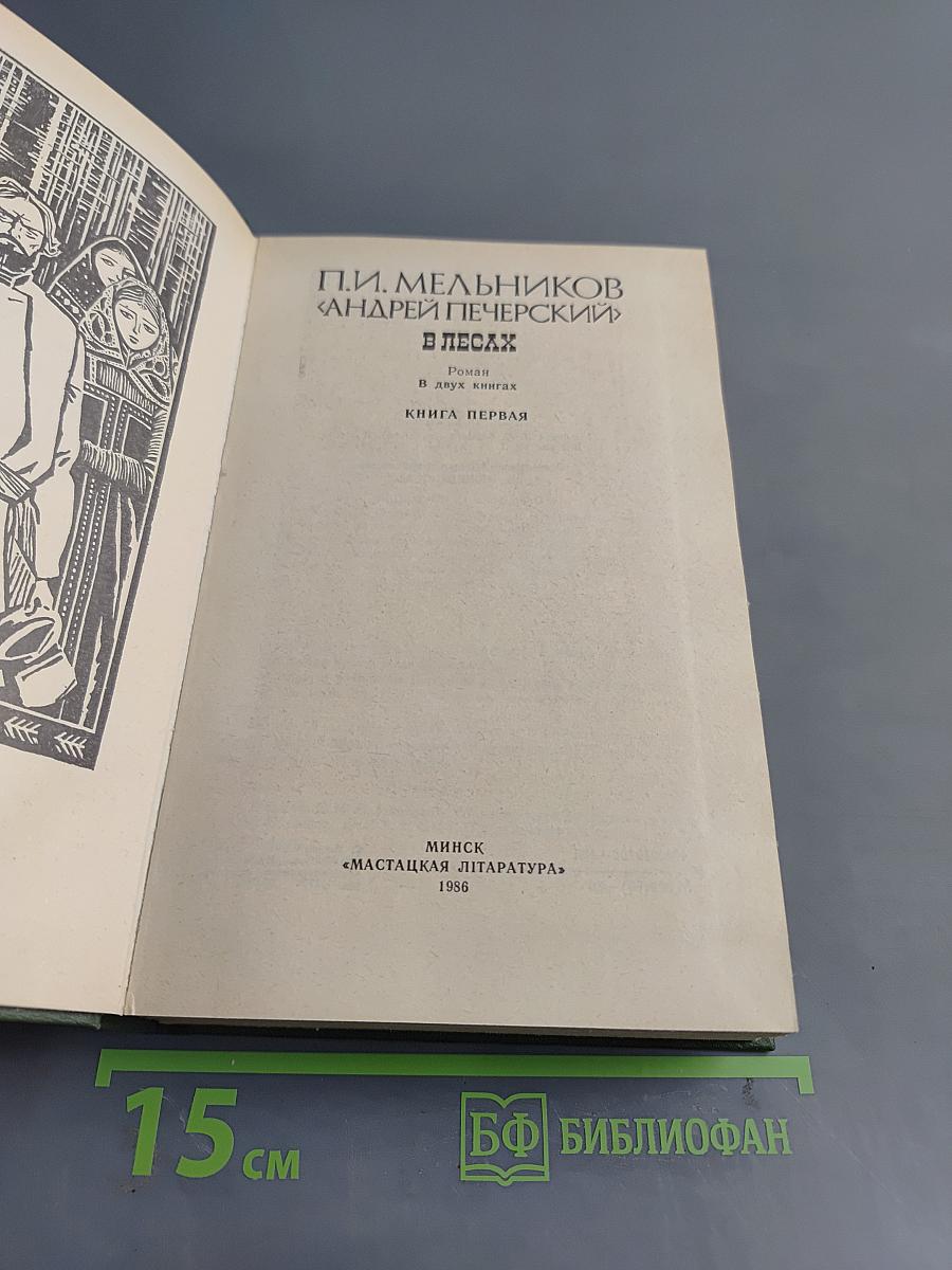 В лесах. Книга первая