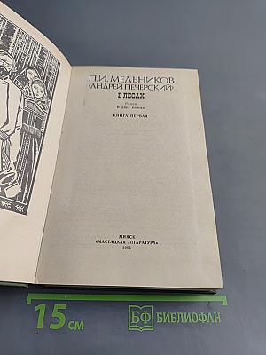 В лесах. Книга первая