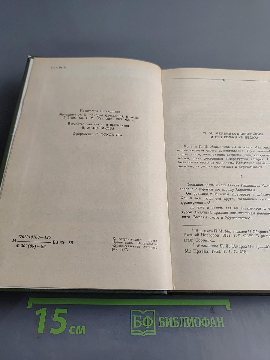 В лесах. Книга первая
