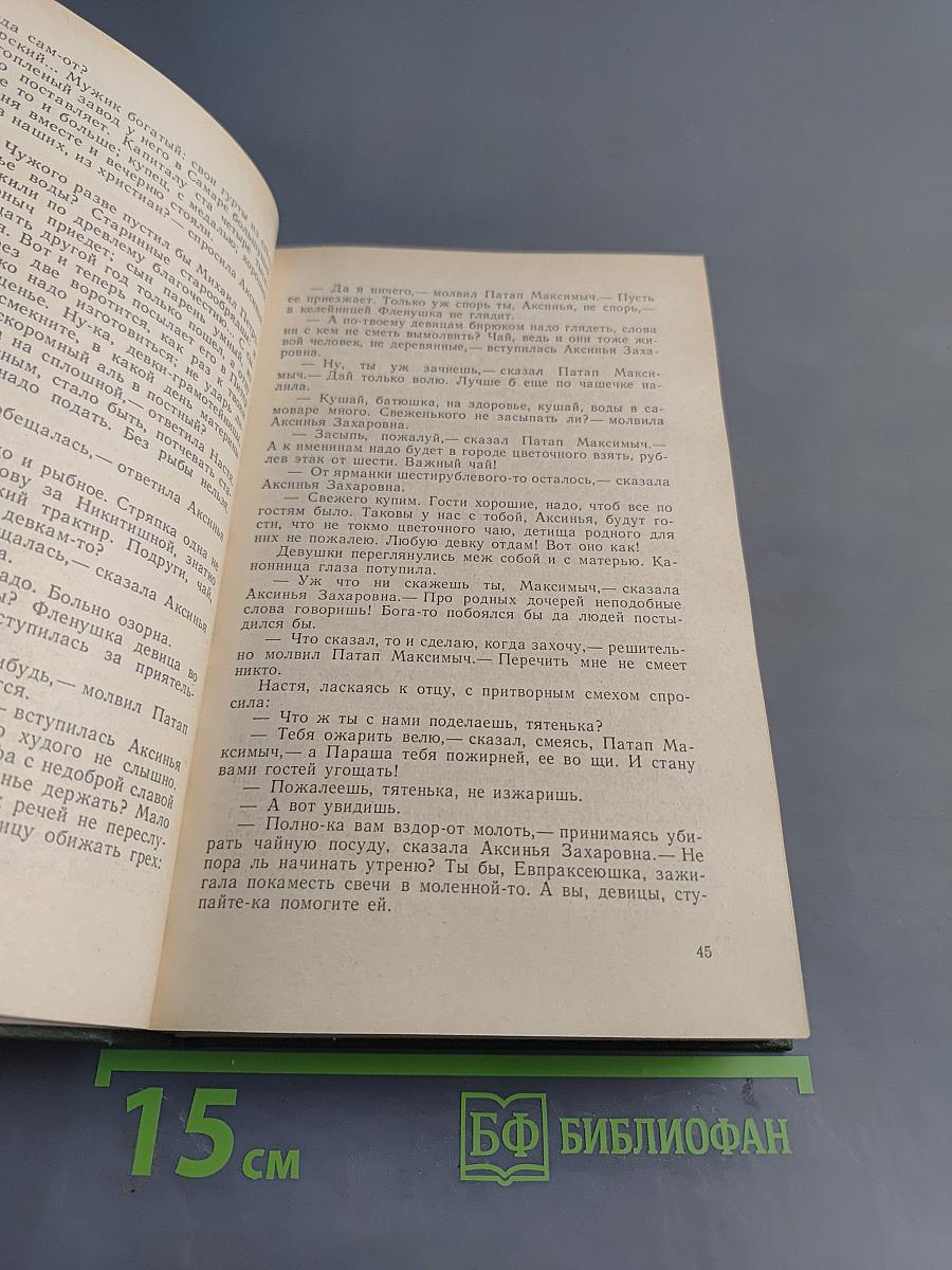В лесах. Книга первая