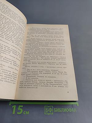 В лесах. Книга первая