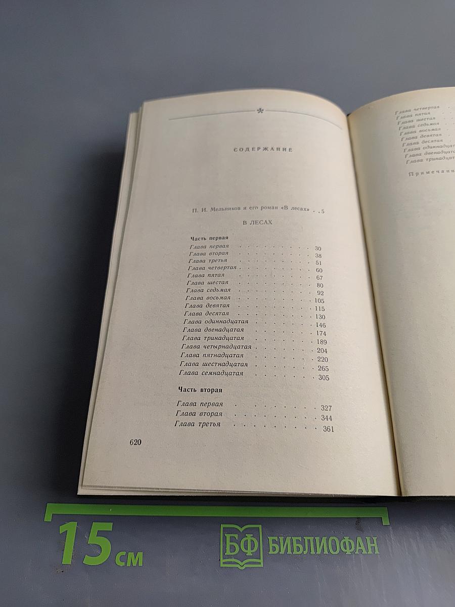 В лесах. Книга первая