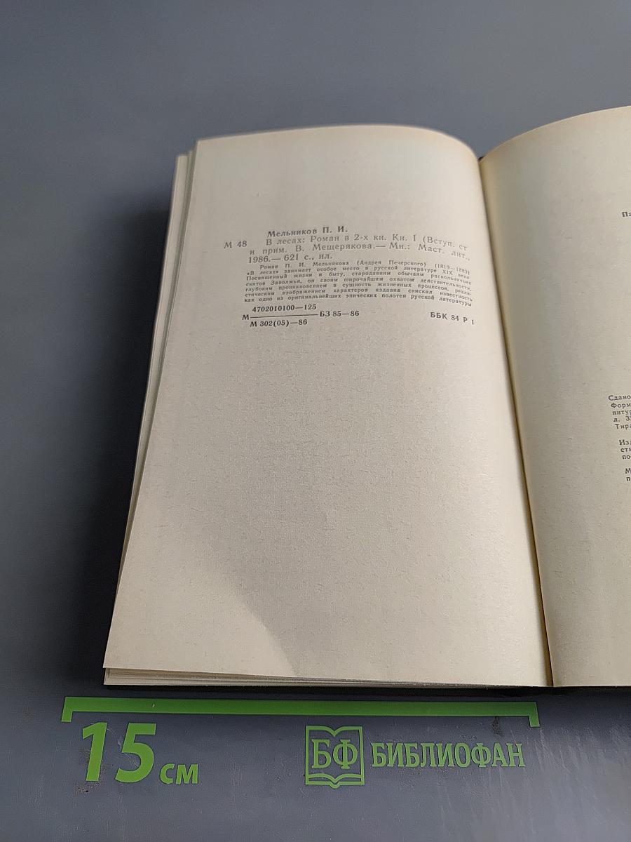 В лесах. Книга первая