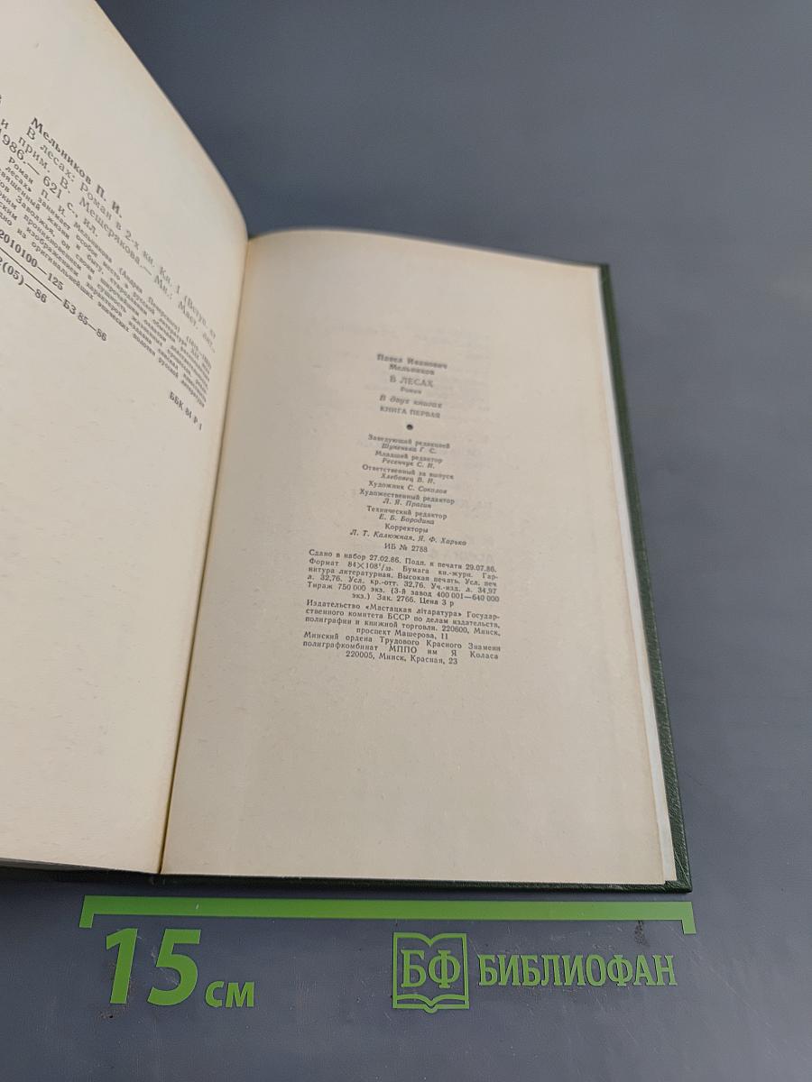 В лесах. Книга первая