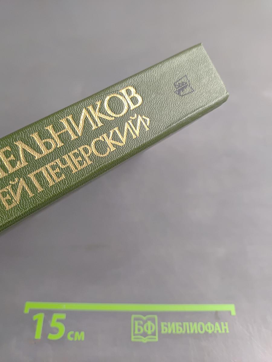 В лесах. Книга первая