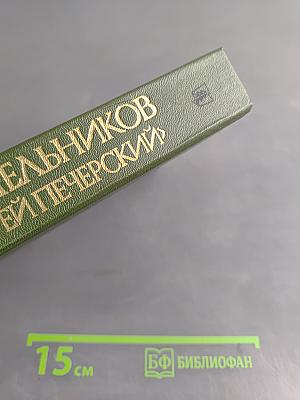 В лесах. Книга первая